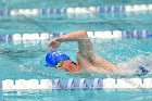 Swimming & Diving vs Babson  Swimming & Diving vs Babson College. - Photo by Keith Nordstrom : Wheaton, Swimming